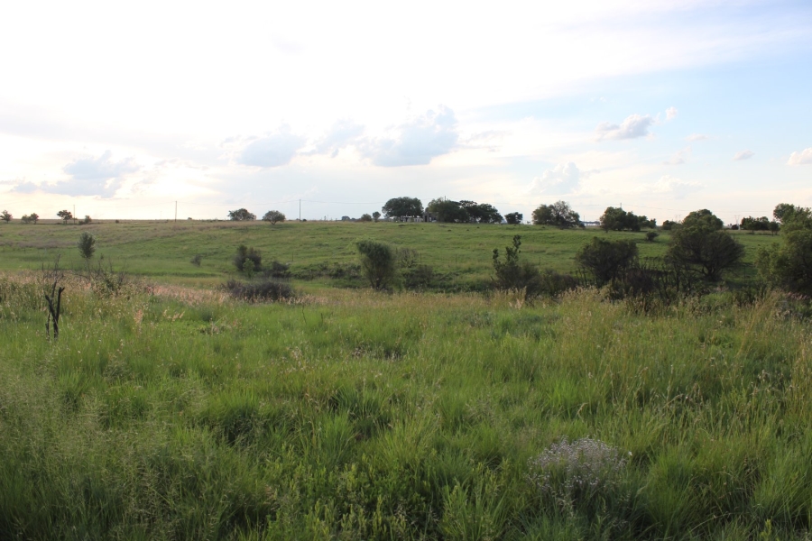 5 Bedroom Property for Sale in Deneysville Free State